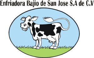 bajio_logo